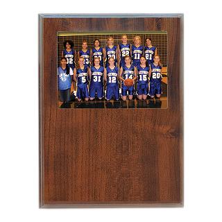 Plaques