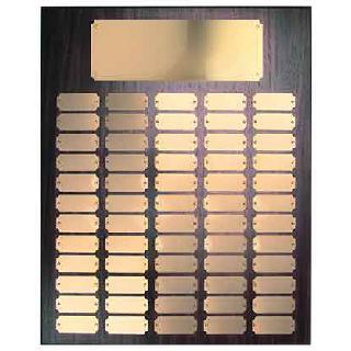 Plaques