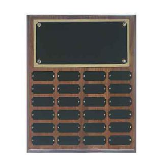 Plaques