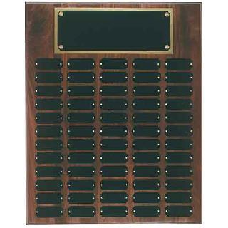 Plaques